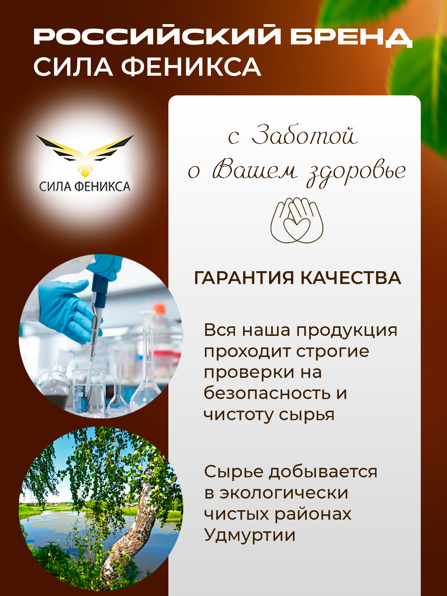 Сила феникса, Чага, капсулы, 90 шт.