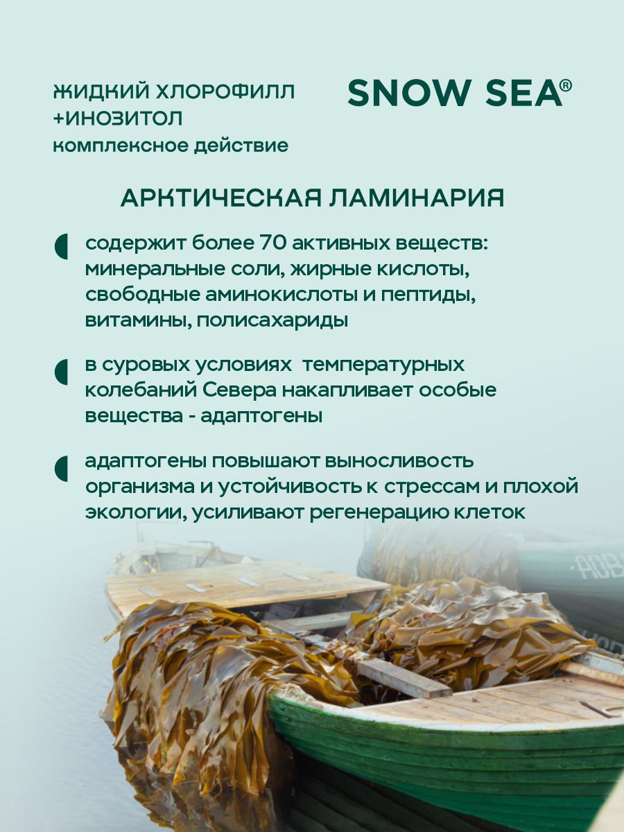 SNOW SEA®, Хлорофилл жидкий с инозитолом, со вкусом апельсина и мяты (для контроля стресса), жидкость, 450 мл