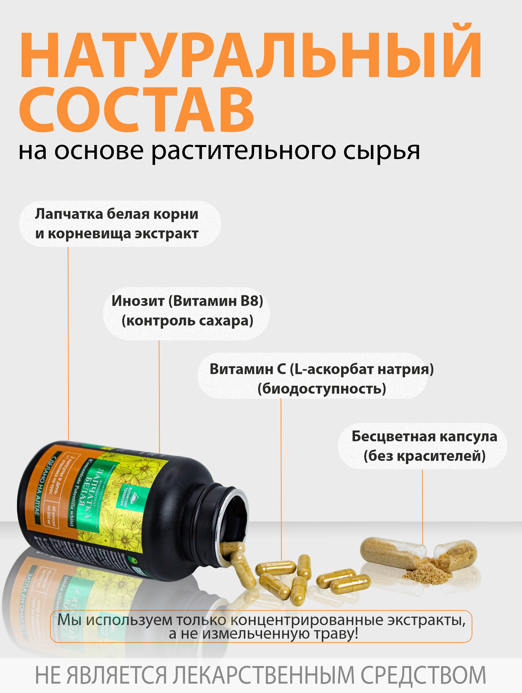 Алтай Простые решения, Концентрат «Лапчатка белая корень», капсулы, 60 шт.