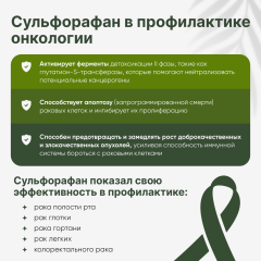 Restartbio, Порошок микрозелени брокколи органический, 90 г