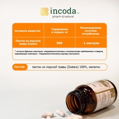 Incoda, Смарт детокс (умный сорбент), капсулы, 20 шт.