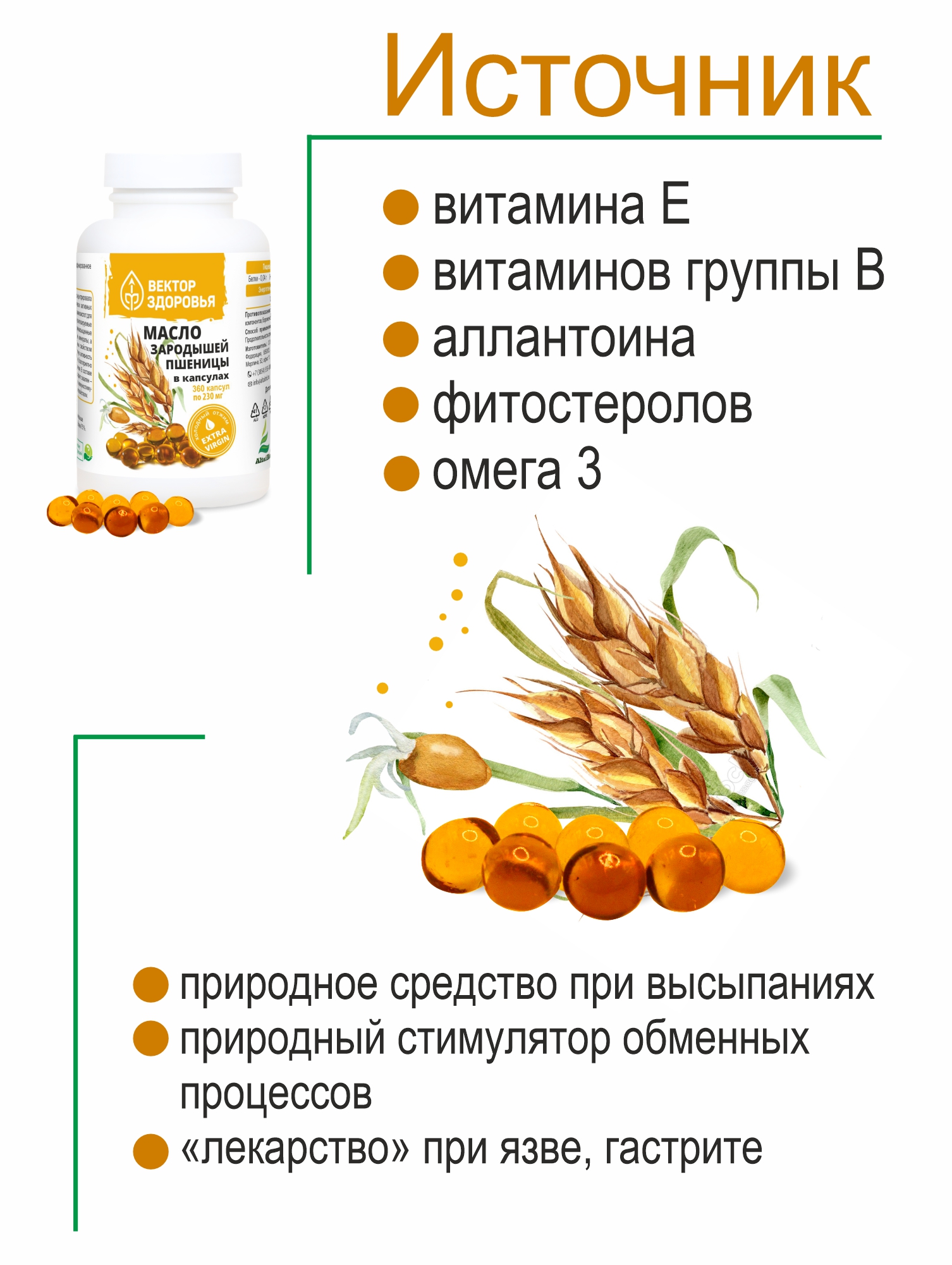 Алтай Простые решения, Масло зародышей пшеницы, капсулы, 360 шт.