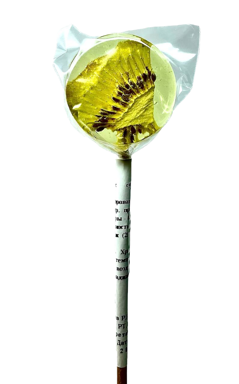 Lollipops, Леденец на палочке из изомальта с сублимированным киви, 1 шт.
