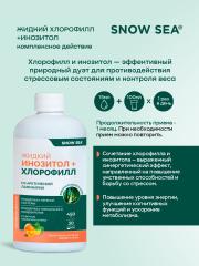 SNOW SEA®, Хлорофилл жидкий с инозитолом, со вкусом апельсина и мяты (для контроля стресса), жидкость, 450 мл