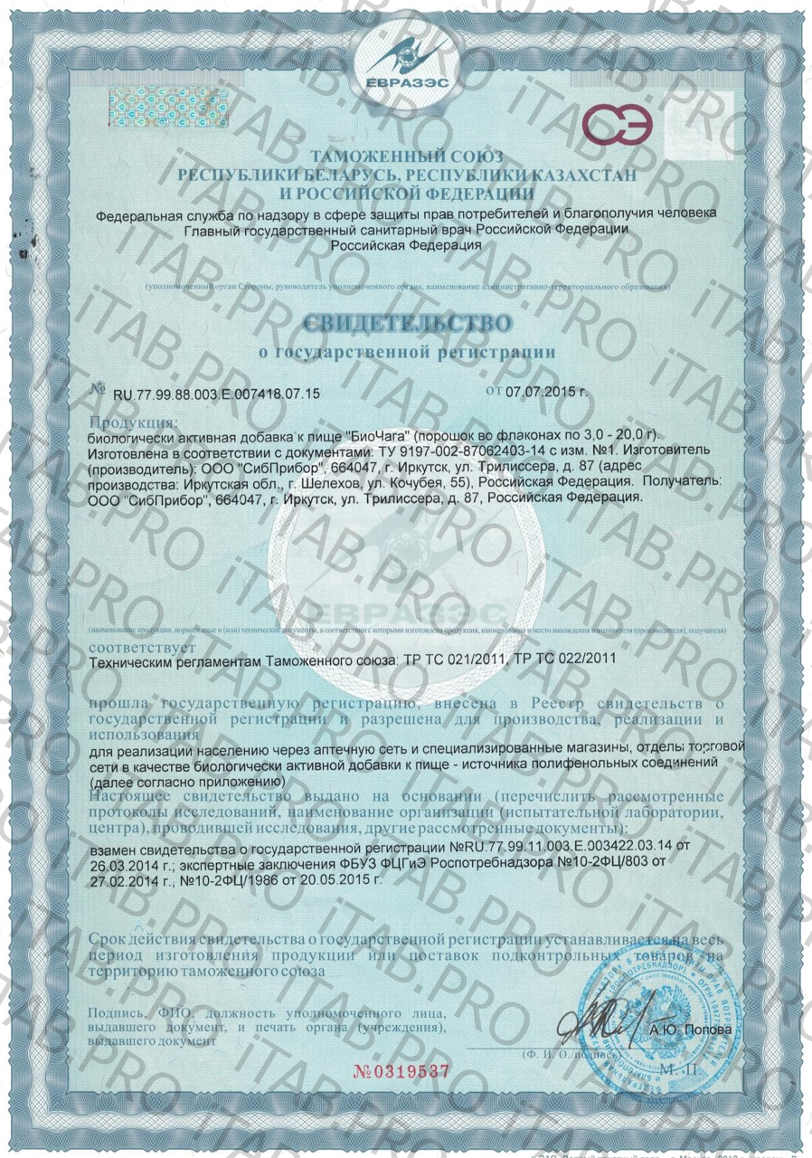 Байкальская Легенда, БиоЧага, порошок, 13 г