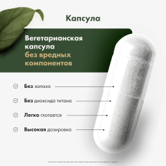 Restartbio, NMN + Q10 (продление молодости), капсулы, 60 шт.