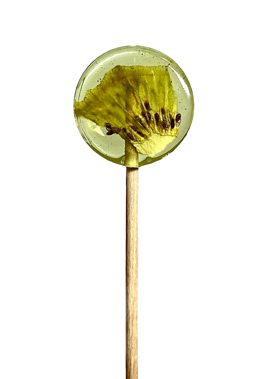 Lollipops, Леденец на палочке из изомальта с сублимированным киви, 1 шт.