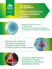 Алтай Простые решения, Комплекс Коэнзим Q10 (убихинон) + Альфа-липоевая кислота, капсулы, 60 шт.