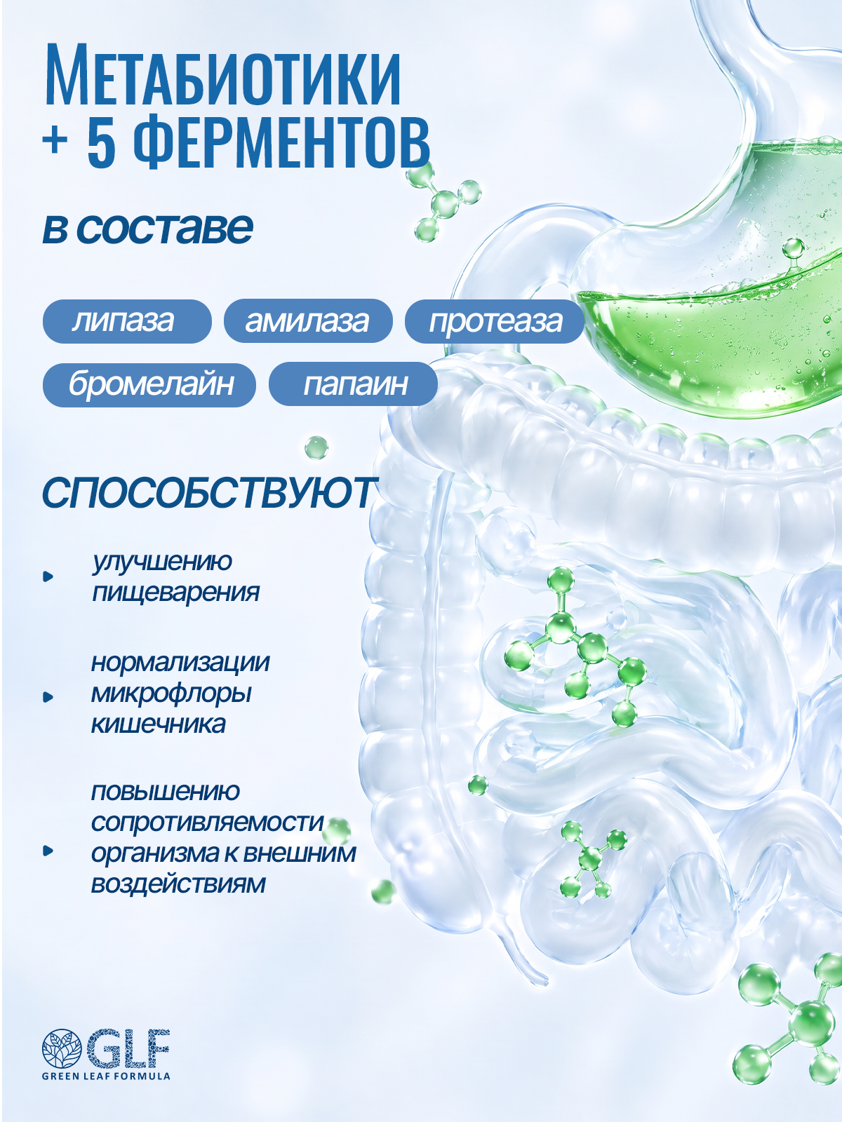 Green Leaf Formula, Метабиотик для кишечника + L-карнитин + ферменты, капсулы, 60 шт.