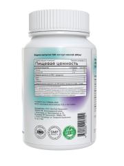 Rise Energy, Магний Хелат (бисглицинат) + В6, капсулы, 120 шт.