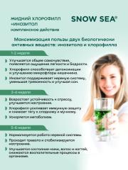 SNOW SEA®, Хлорофилл жидкий с инозитолом, со вкусом апельсина и мяты (для контроля стресса), жидкость, 450 мл