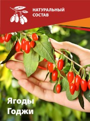 Алтайские традиции, Нативный экстракт «Ягоды Годжи», капсулы, 60 шт.