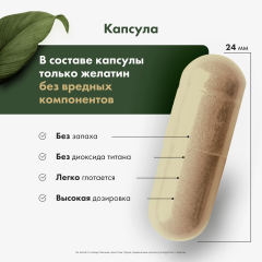 Restartbio, Healthy liver (для здоровья печени), капсулы, 120 шт.