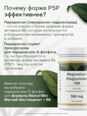 Restartbio, Магний (бисглицинат) + B6 (P-5-P), капсулы, 240 шт.
