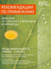 Green Leaf Formula, Чеснок с витамином D3 (для сердца и сосудов), капсулы, 30 шт.