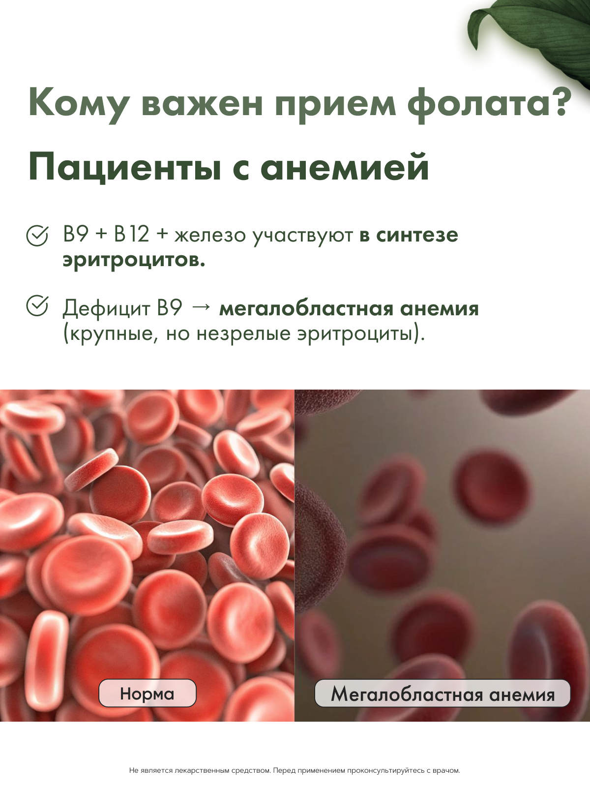 RestartBio, Витамин В9 (метилфолат), капсулы, 120 шт.