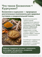 RestartBio, Босвеллия + куркумин, капсулы, 90 шт.