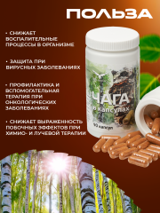 Сила феникса, Чага, капсулы, 90 шт.
