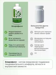 Nooteria Labs, Хлорофилл, со вкусом мяты, жидкость, 500 мл