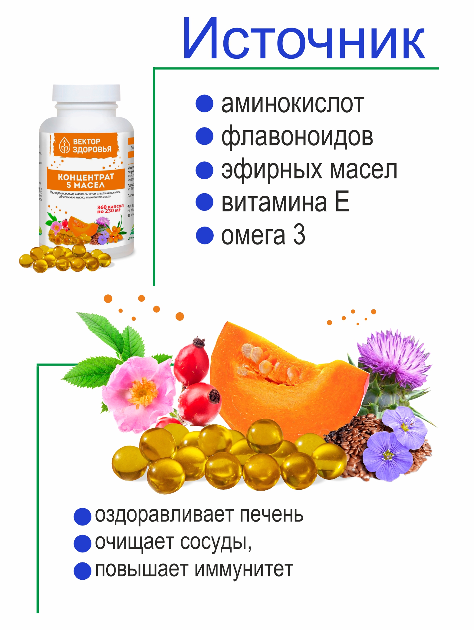 Алтай Простые решения, Концентрат 5 масел с маслом расторопши, облепихи, тыквы - Здоровый организм, 360 капсул