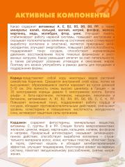 АртЛайф, Какао без сахара «Шоко спайси», саше, 12*13 г