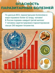 Фунго-Ши, Свечи ректальные «Фунго-Ши Лисички» (антипаразитарный комплекс), 10 шт.