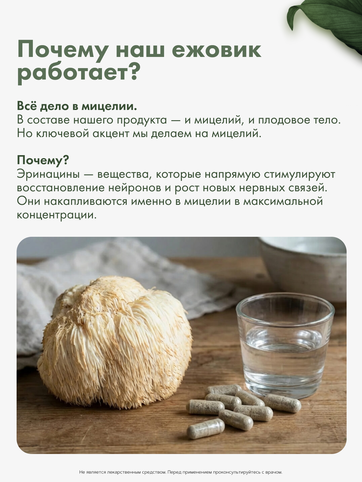 Restartbio, Ежовик гребенчатый, капсулы, 90 шт.