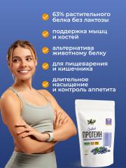 Yappi, Соевый изолят протеин с голубикой, 250 г