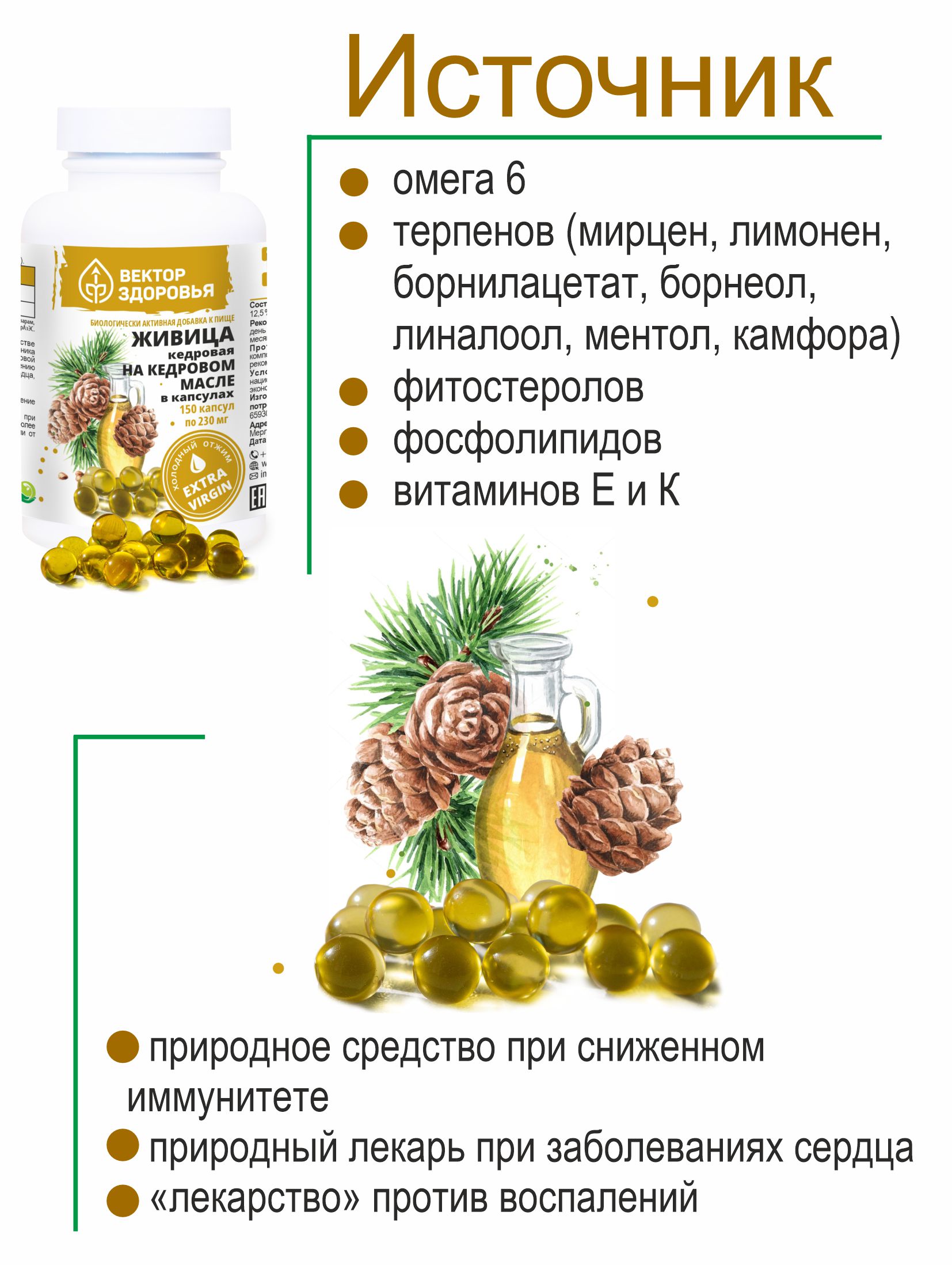 Алтай Простые решения, Живица кедровая 12,5% на кедровом масле, капсулы, 150 шт.