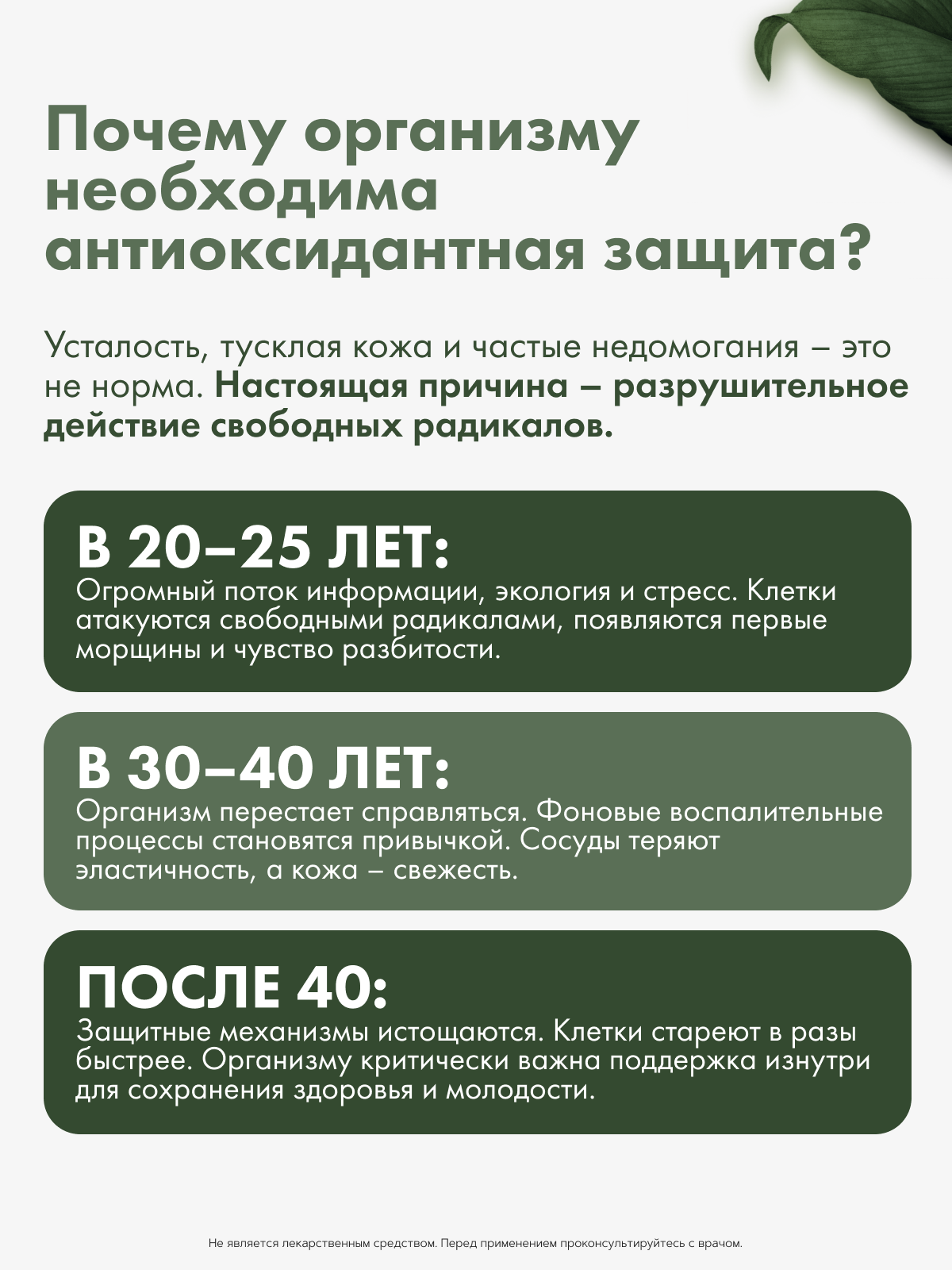 Restartbio, Комплекс с розмариновой кислотой, капсулы, 120 шт.