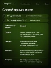 Amazonica, Lion’s Mane, Ежовик гребенчатый, порошок, 100 г