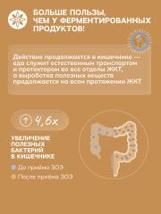 ЗОЭ, Пропиони овсяный 02 (концентрат для пищеварения), 250 мл