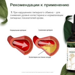 Restartbio, Концентрат «Травы горечи органические» (для желчного пузыря и печени), жидкость, 100 мл