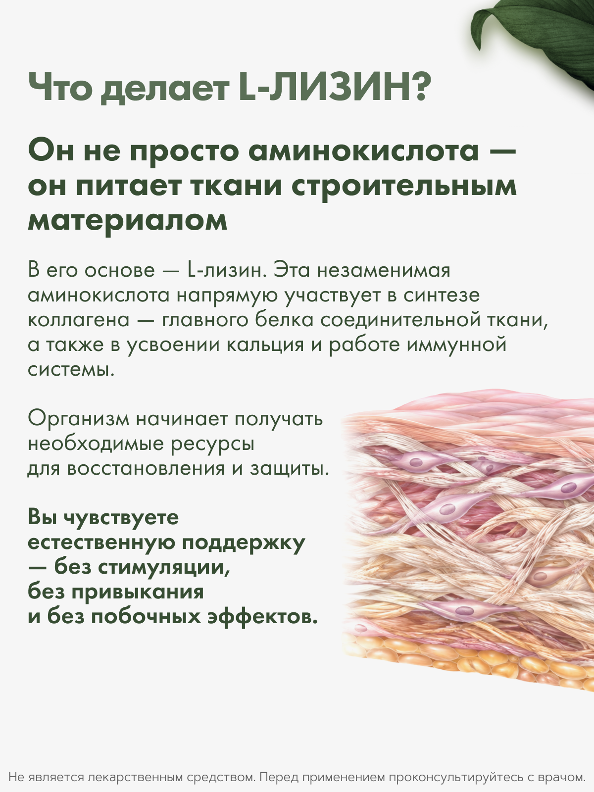 RestartBio, L-лизин, капсулы, 120 шт.