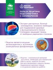 Алтай Простые решения, Комплекс Лецитин подсолнечный + Силимарин, капсулы, 60 шт.