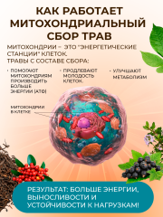 Правильные травы, Энергетический (митохондриальный) сбор, саше, 10*10 г