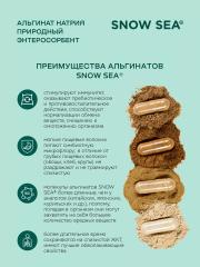 SNOW SEA, Альгинат натрия АЛЬГАДЕТОКС® (для ЖКТ и очищения организма), капсулы, 60 шт.