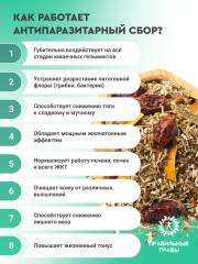 Правильные травы, Антипаразитарный сбор, саше, 10*10 г
