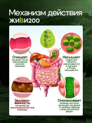 Живи200, Витграсс с сушеными ягодами (детокс, поддержка иммунитета), таблетки, 300 шт.