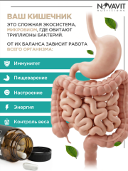 NOVAVIT nutritions, Пробиотики, для кишечника и пищеварения, капсулы, 60 шт.