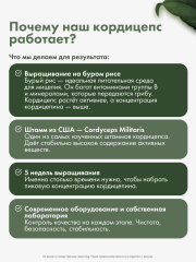 Restartbio, Кордицепс милитарис, капсулы, 90 шт.