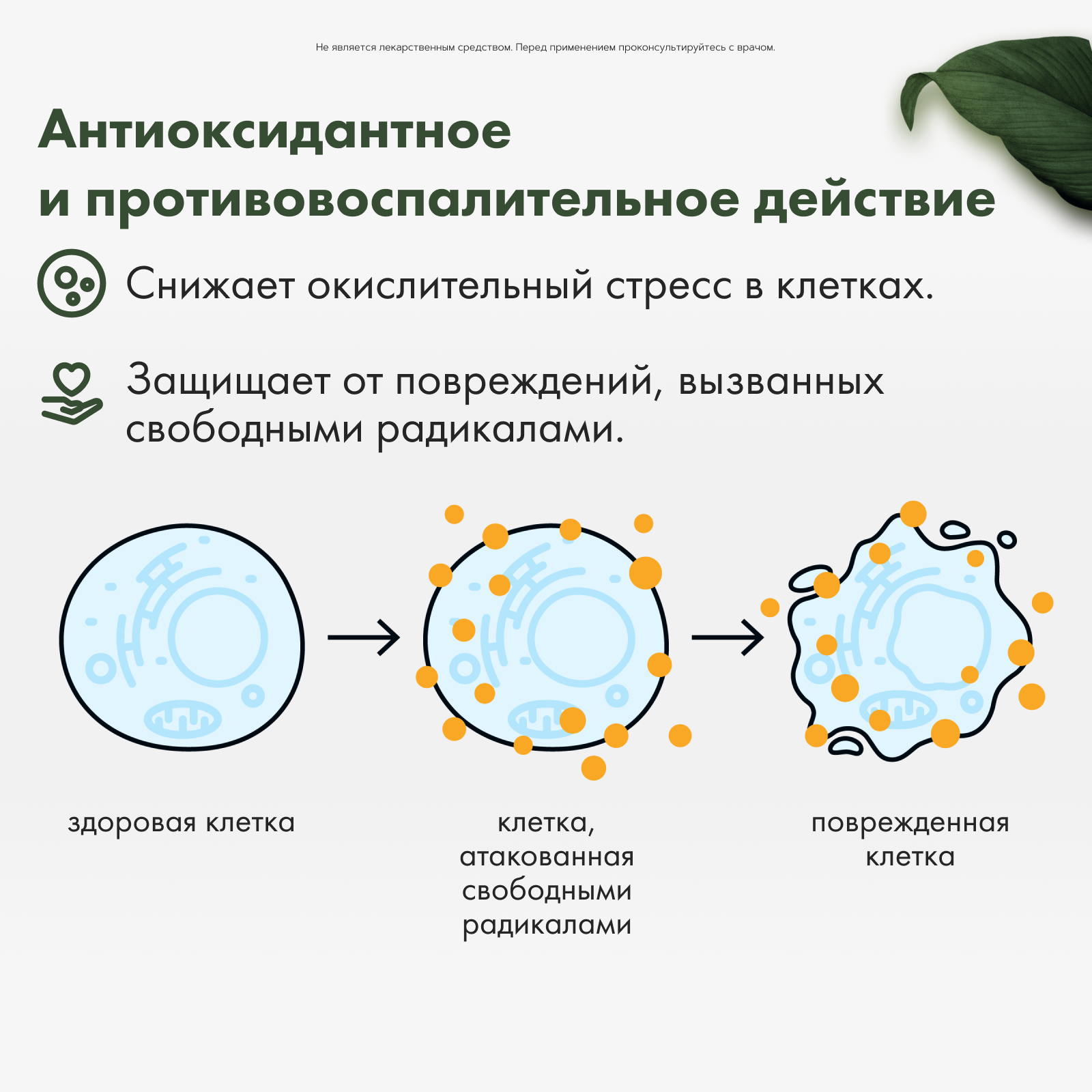 Restartbio, Цинк карнозин, капсулы, 60 шт.