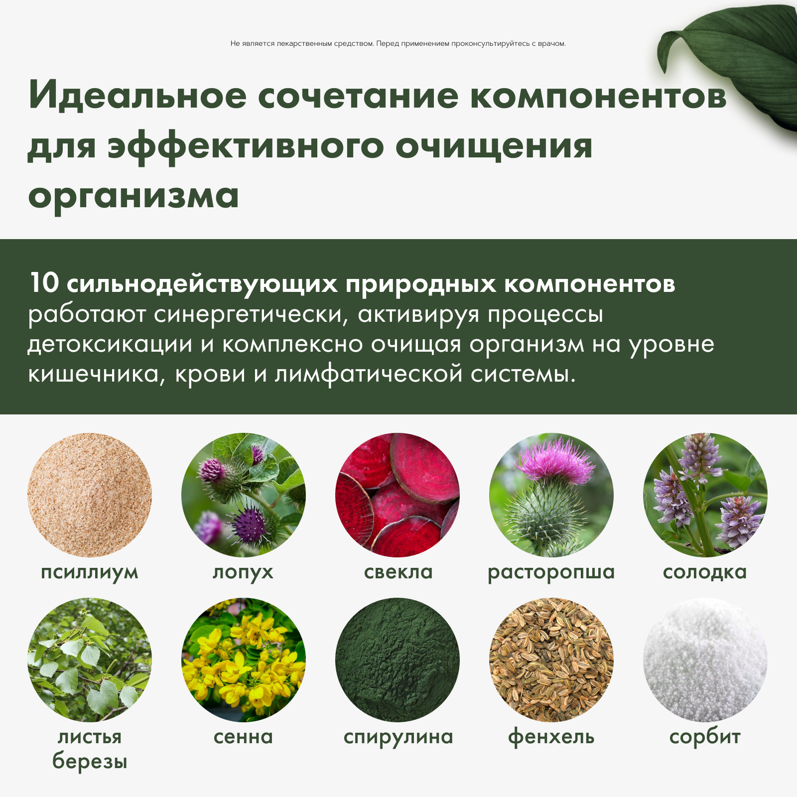 Restartbio, Детокс-Актив, стики, 20*7 г