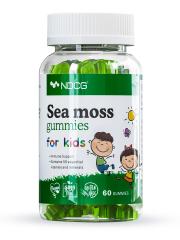 NDCG, Sea Moss for kids (ирландский мох), со вкусом яблока, жевательные конфеты, 60 шт.