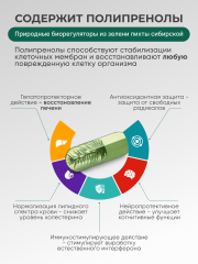 Солагифт, Bioeffectives Abieprenols 10 (для защиты печени, сердца и мозга), капсулы, 60 шт.