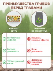 Фунго-Ши, Программа «Акура» для очищения печени, избавления от паразитов, токсинов и ядов, капсулы, 3*60 шт.
