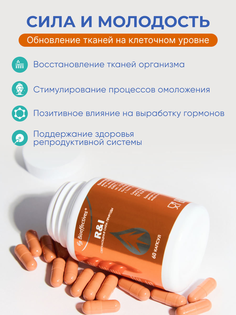 Солагифт, R&I (биокомплекс с полипренолами и клеточным соком пихты), капсулы, 60 шт.