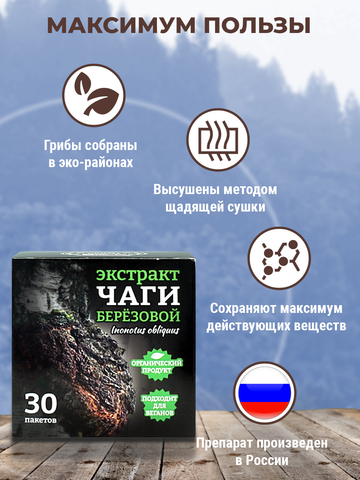 Фунго-Ши, Чайный напиток «Фунго-ши Чага» (для укрепления иммунитета), саше, 30 шт.