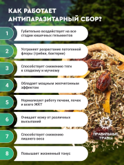 Правильные травы, Сбор «Антипаразитарный», 100 г