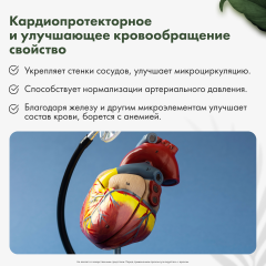 Restartbio, Клеточный сок пихты сибирской, жидкость, 30 мл
